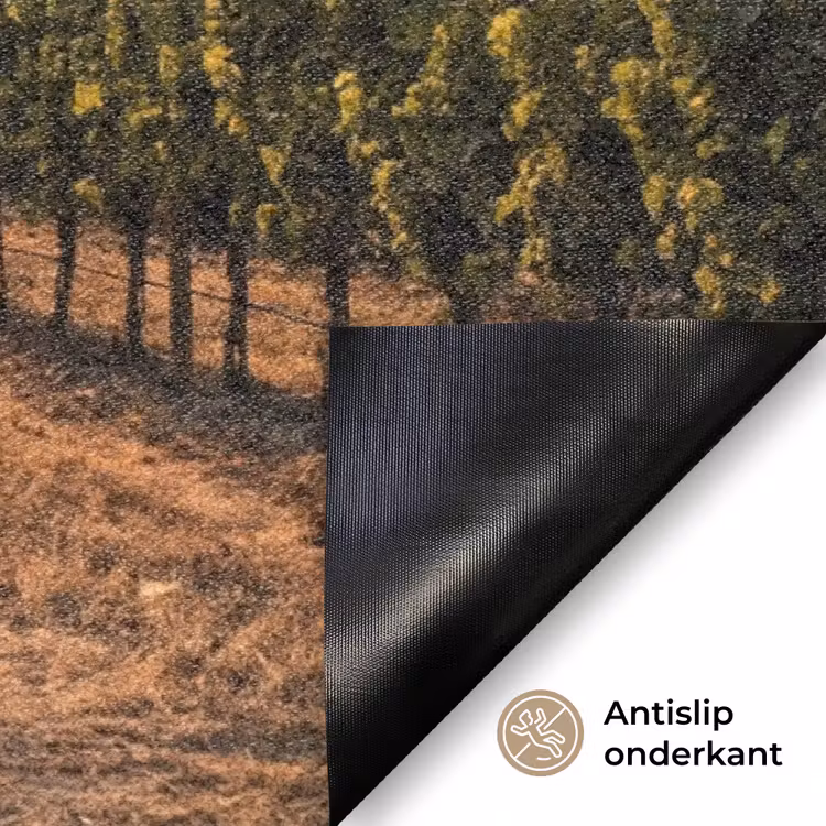 Deurmat - Wijngaard - Zonsondergang - Landschap — 6