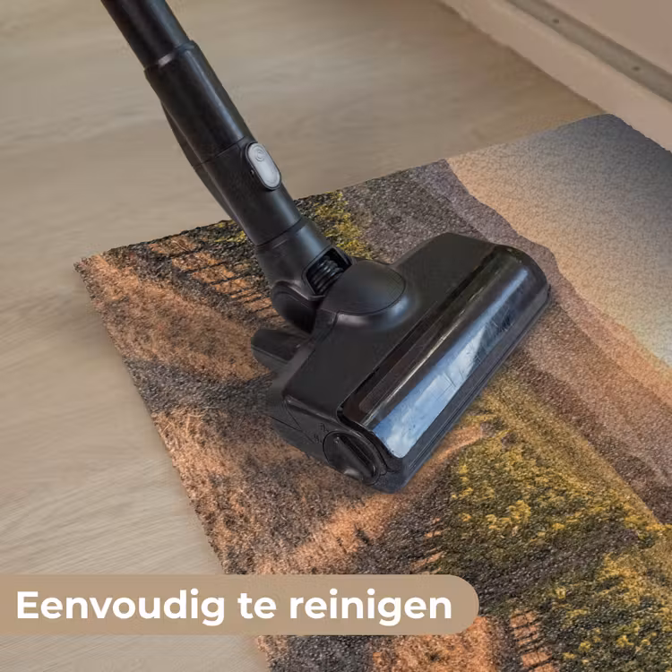 Deurmat - Wijngaard - Zonsondergang - Landschap — 9