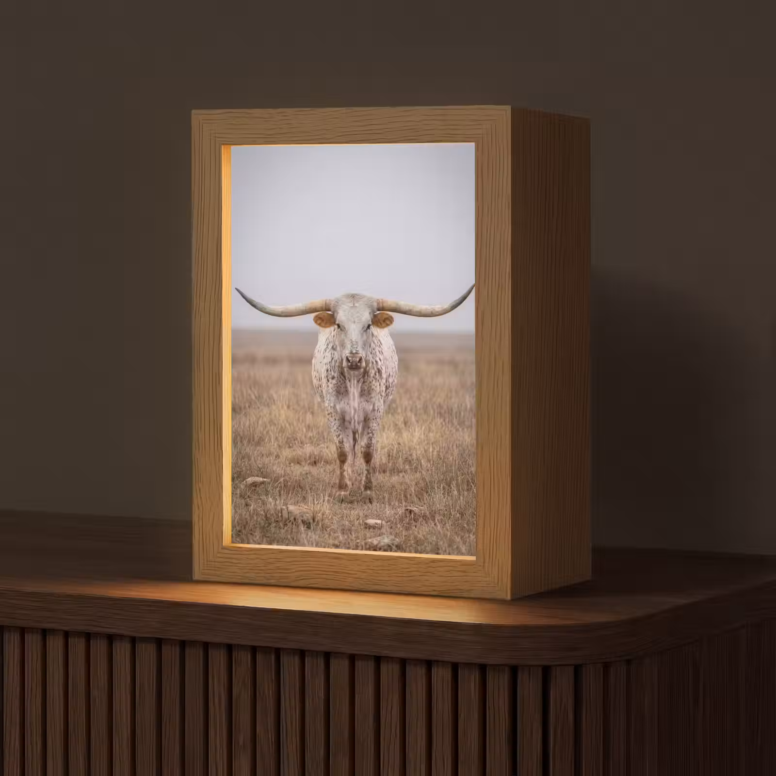 Tafellamp - Longhorn - Grasveld - Dier — 1