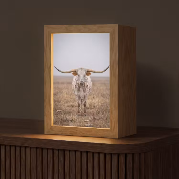 Tafellamp - Longhorn - Grasveld - Dier — 1