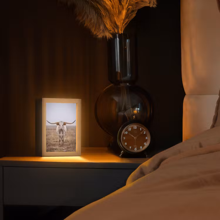 Tafellamp - Longhorn - Grasveld - Dier — 2