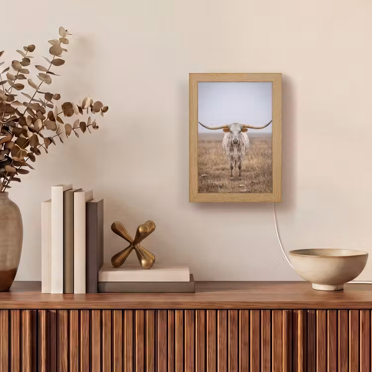 Tafellamp - Longhorn - Grasveld - Dier — 4