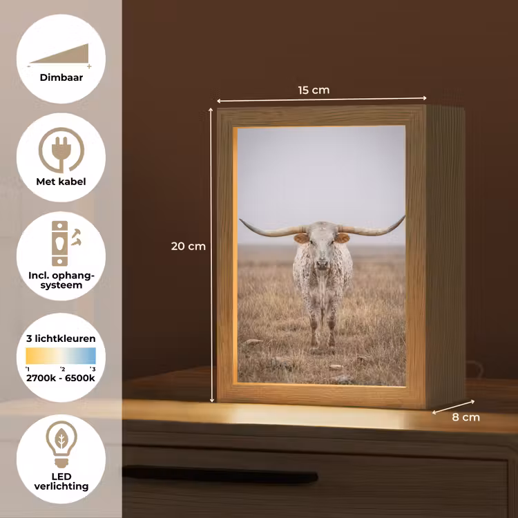 Tafellamp - Longhorn - Grasveld - Dier — 7