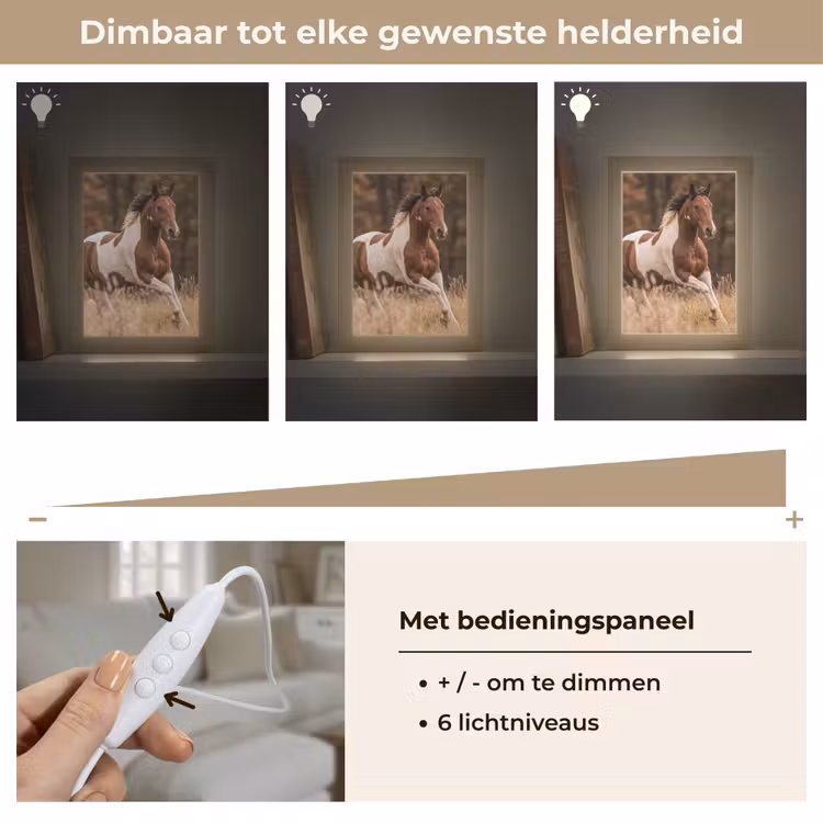 Tafellamp - Paard - Bruin - Gras — 8