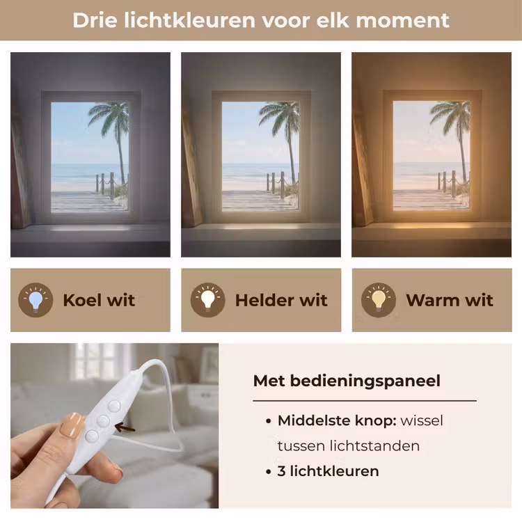 Tafellamp - Palmbomen - Pad - Horizon — 6