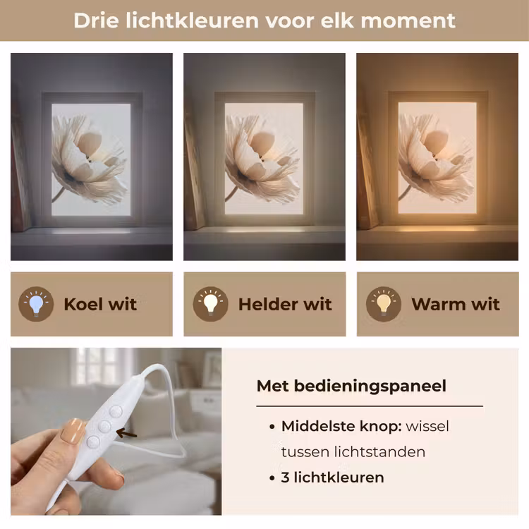 Tafellamp - Bloem - Beige - Crème — 6