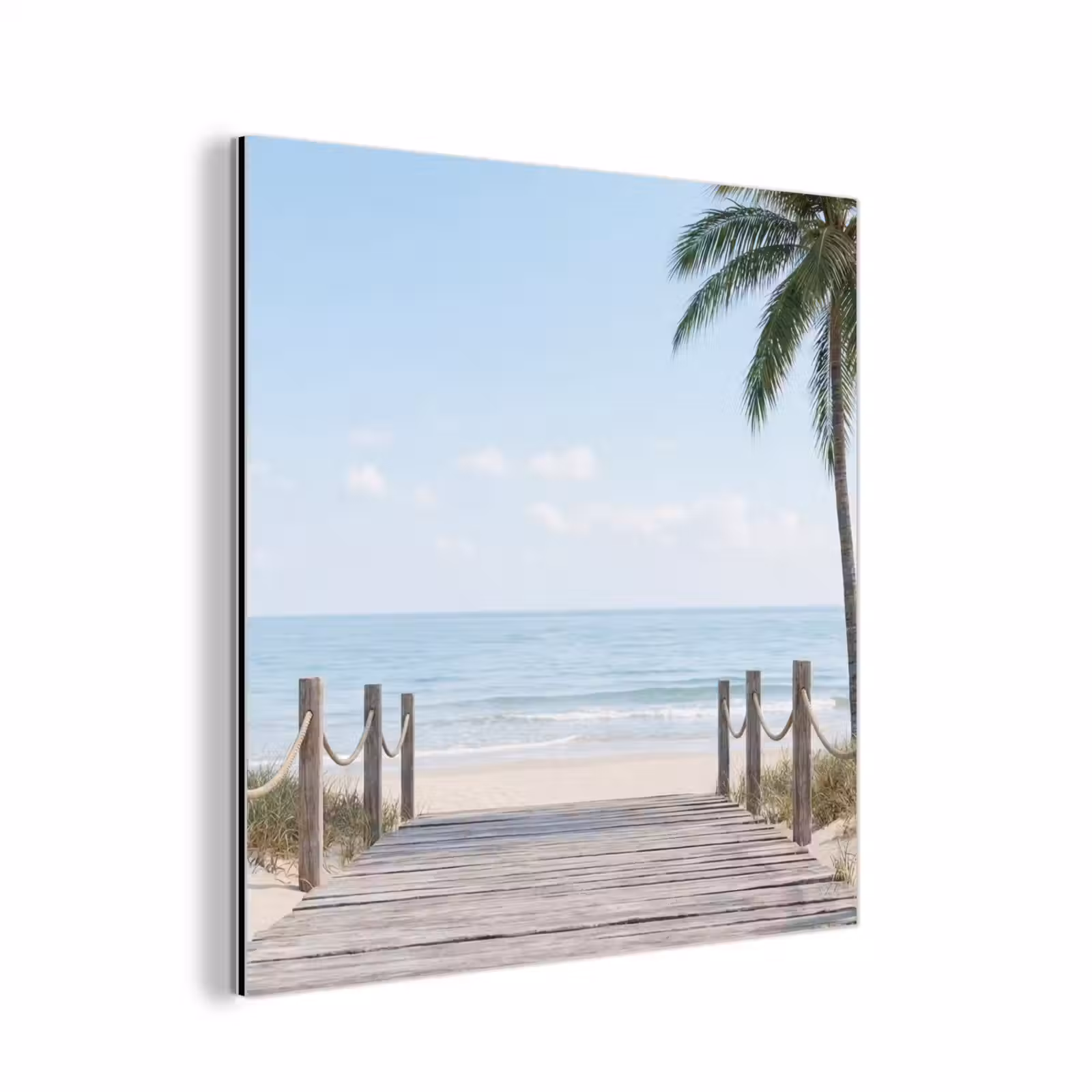 Aluminium schilderij - Palmbomen - Pad - Horizon — 1