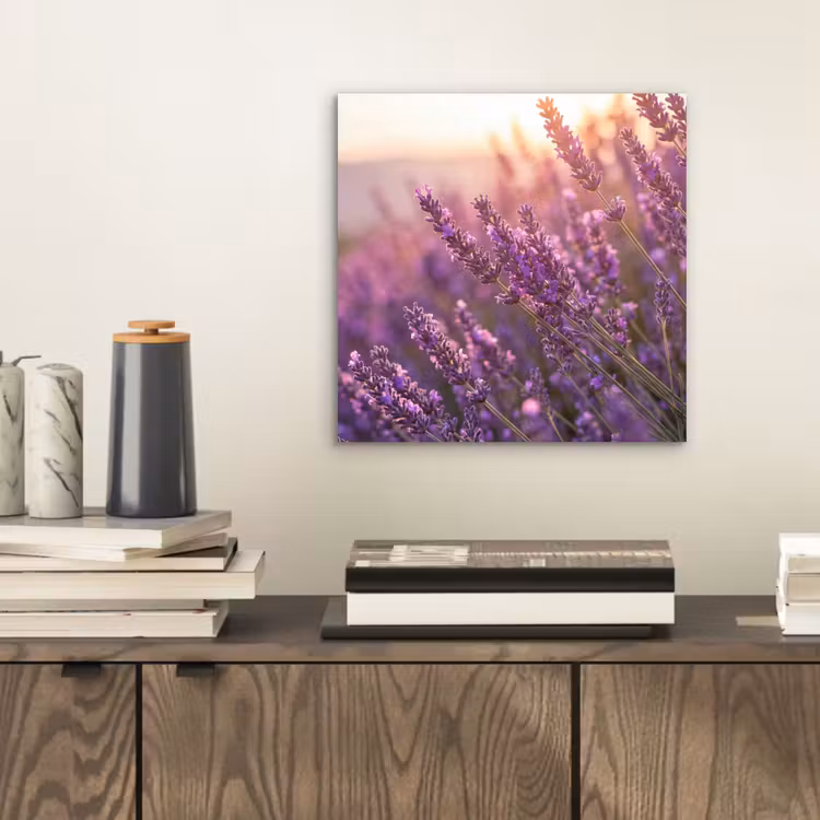 Aluminium schilderij - Lavendel - Paars - Zonlicht — 2