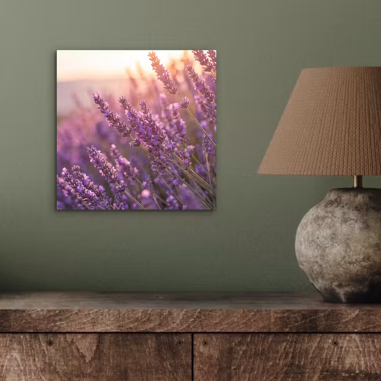 Aluminium schilderij - Lavendel - Paars - Zonlicht — 3
