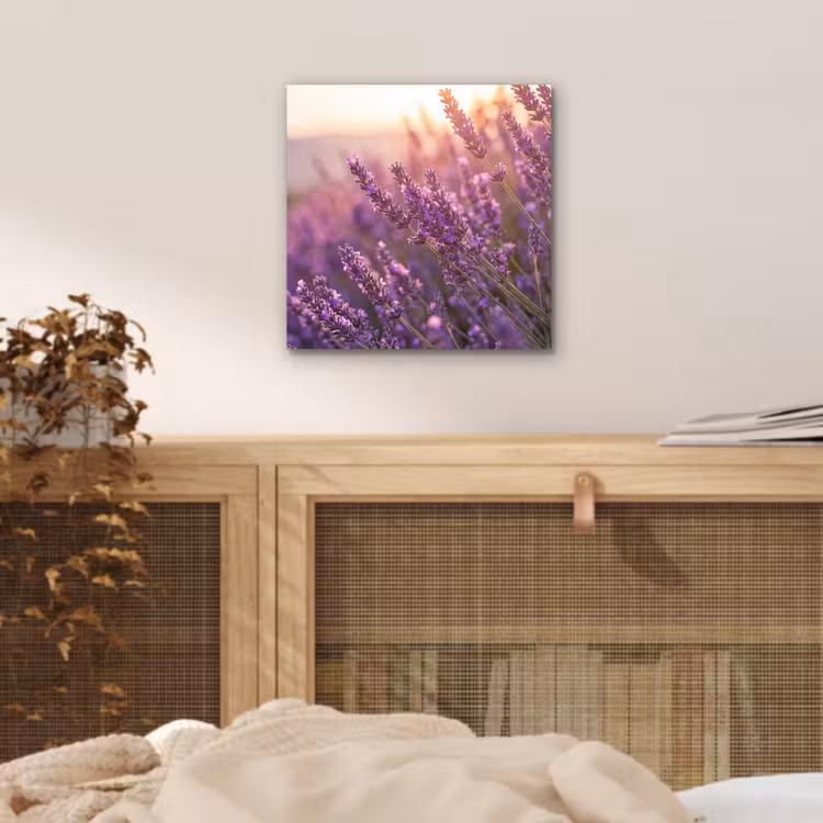 Aluminium schilderij - Lavendel - Paars - Zonlicht — 4
