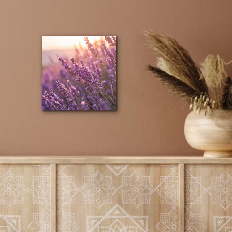 Aluminium schilderij - Lavendel - Paars - Zonlicht — 5