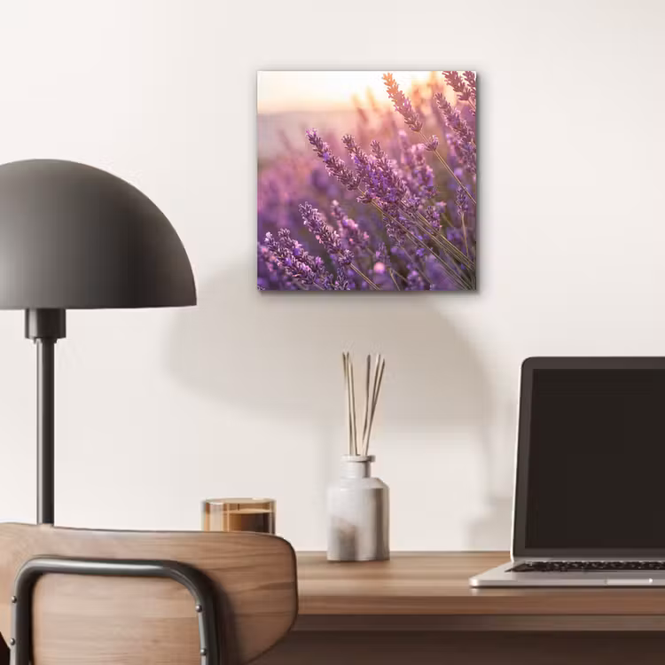 Aluminium schilderij - Lavendel - Paars - Zonlicht — 6