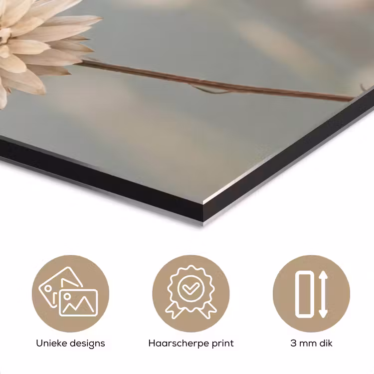 Aluminium schilderij - Strobloemen - Wit - Daglicht — 7