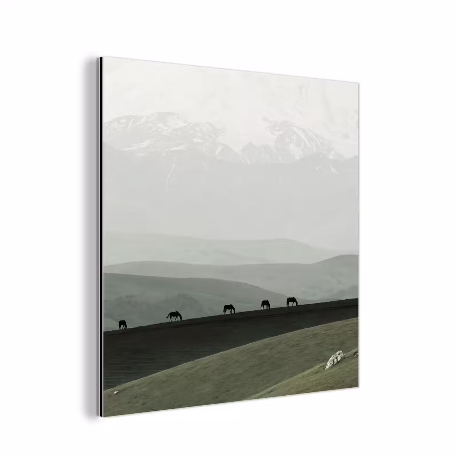 Aluminium schilderij - Grijs - Berg - Paarden — 1