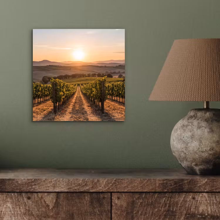 Aluminium schilderij - Wijngaard - Zonsondergang - Landschap — 3