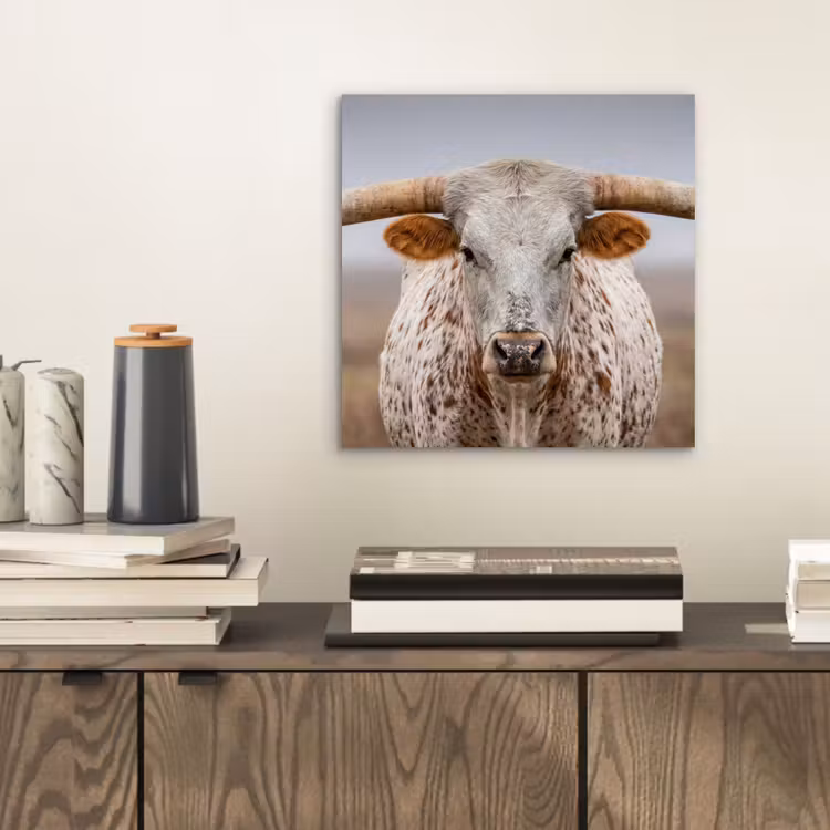Aluminium schilderij - Longhorn - Grasveld - Dier — 2