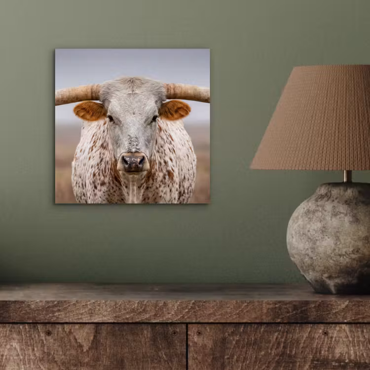 Aluminium schilderij - Longhorn - Grasveld - Dier — 3