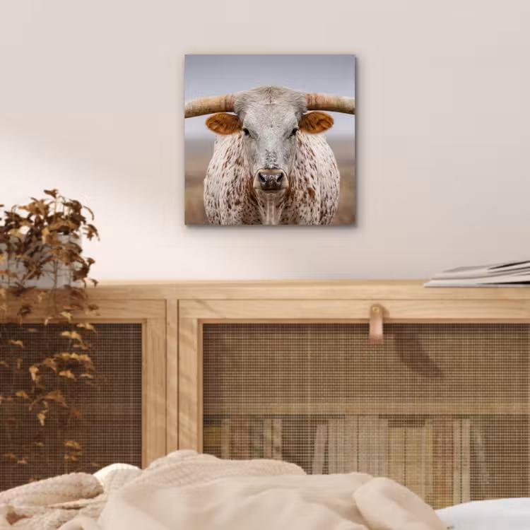 Aluminium schilderij - Longhorn - Grasveld - Dier — 4