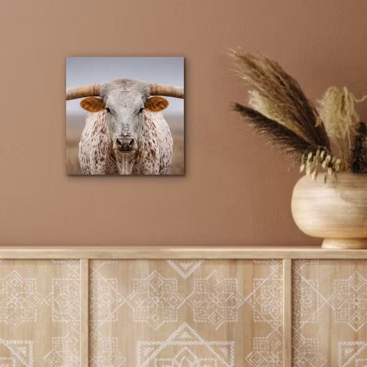 Aluminium schilderij - Longhorn - Grasveld - Dier — 5