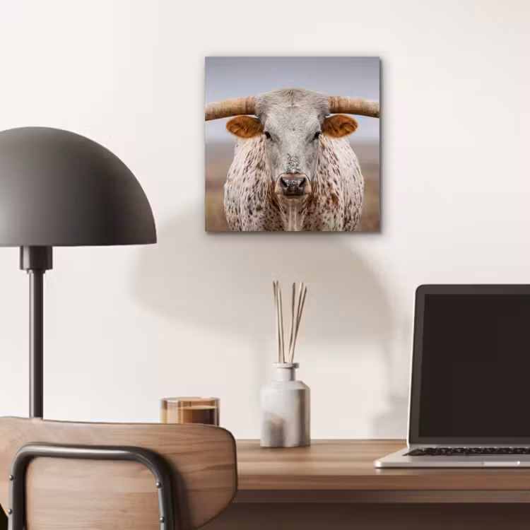 Aluminium schilderij - Longhorn - Grasveld - Dier — 6