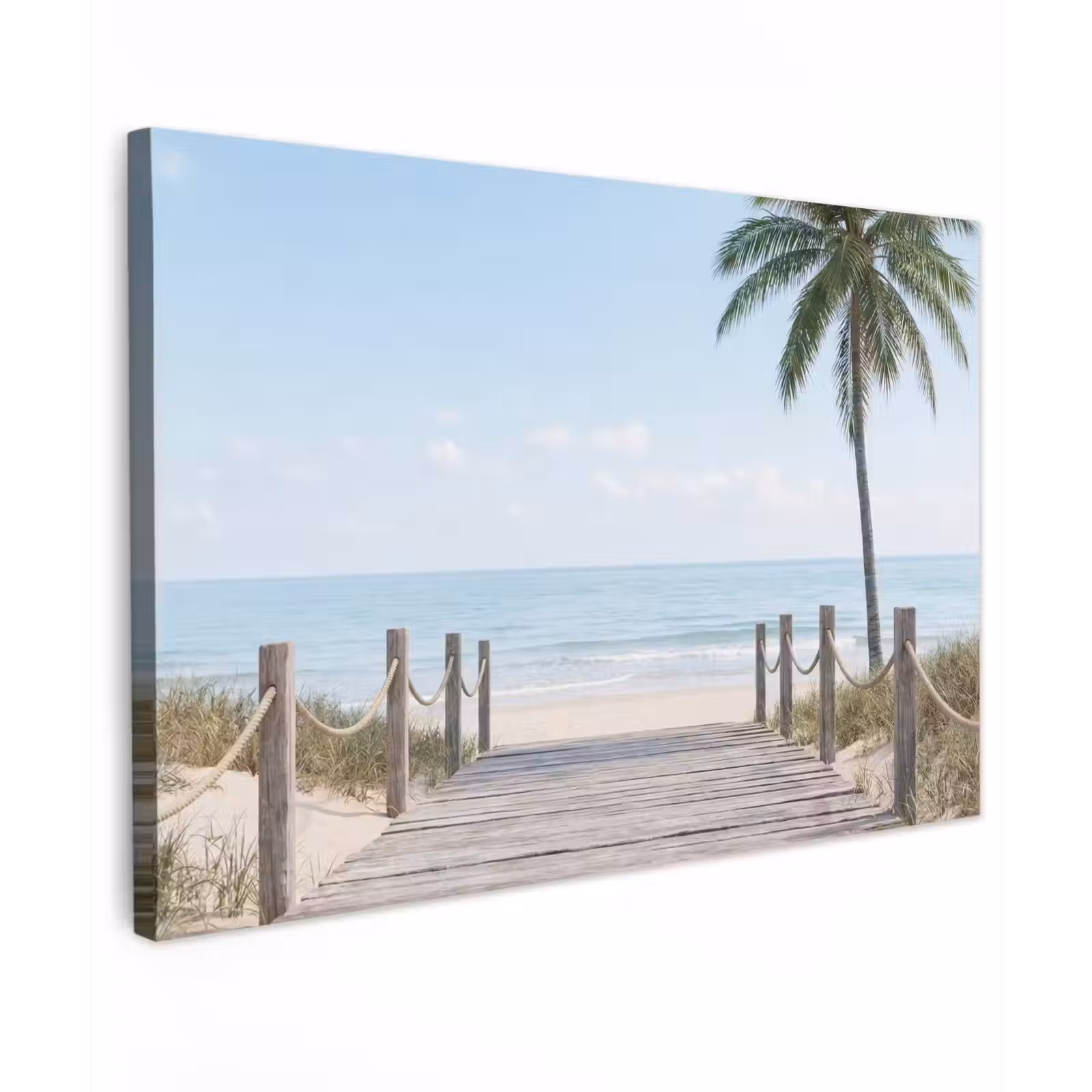 Buiten canvas - Palmbomen - Pad - Horizon — 1