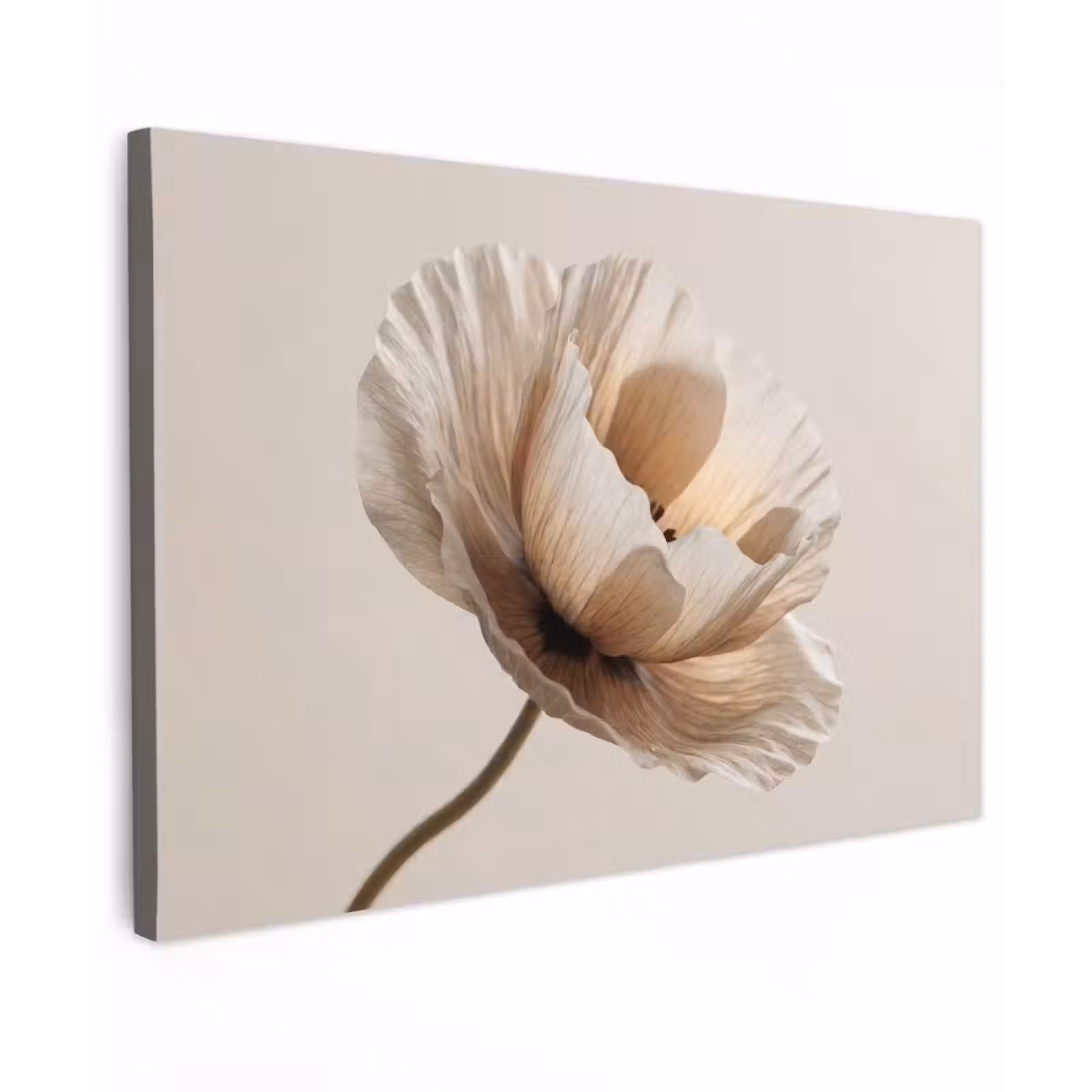 Buiten canvas - Bloem - Beige - Crème — 1