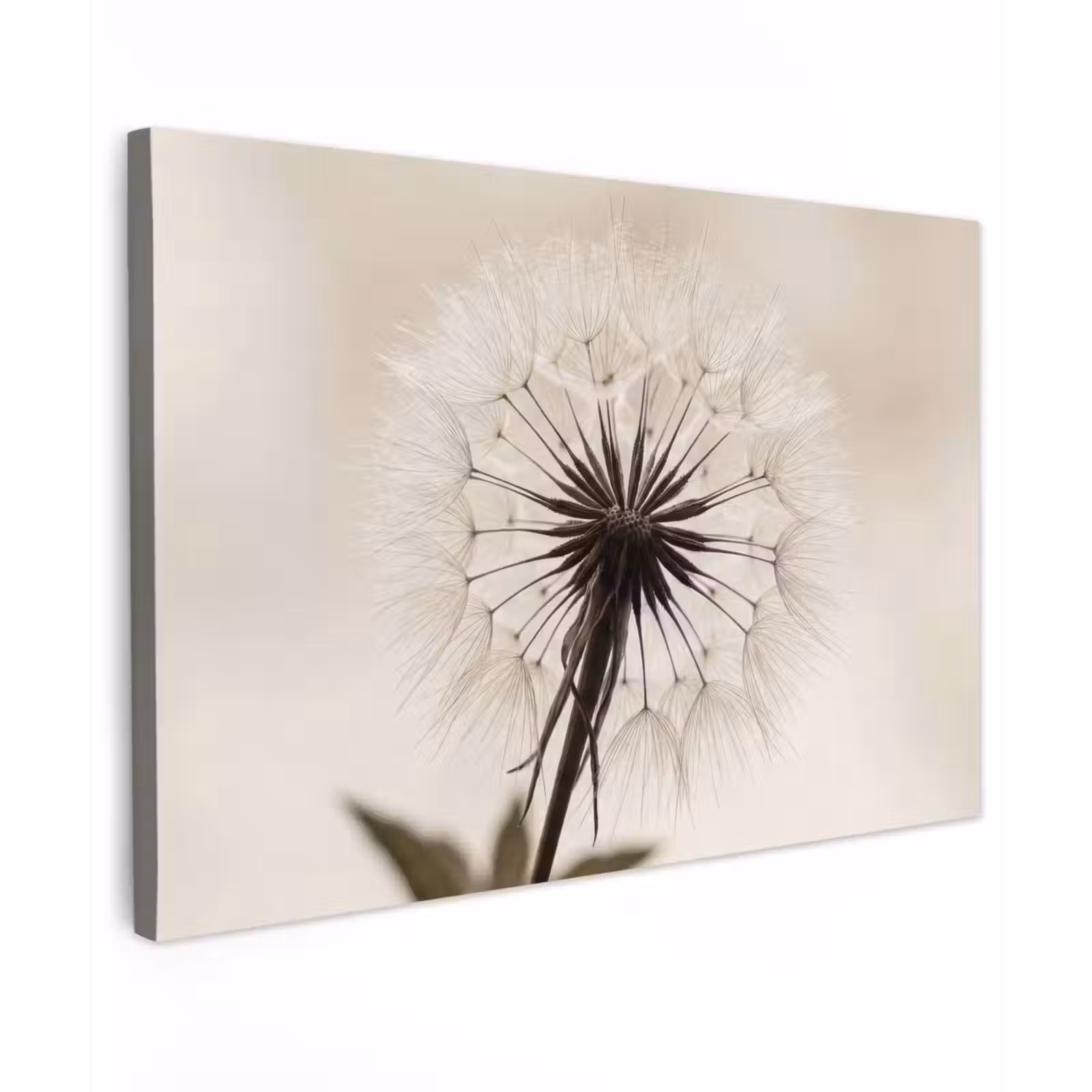 Buiten canvas - Paardenbloem - Minimalistisch - Wit — 1