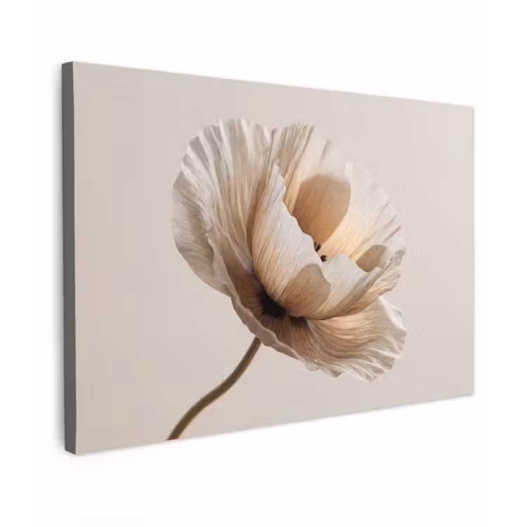 Buiten canvas - Bloem - Beige - Crème — 1