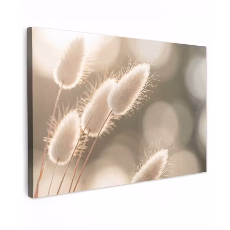 Buiten canvas - Hazestaartgras - Wit - Zonlicht — 1