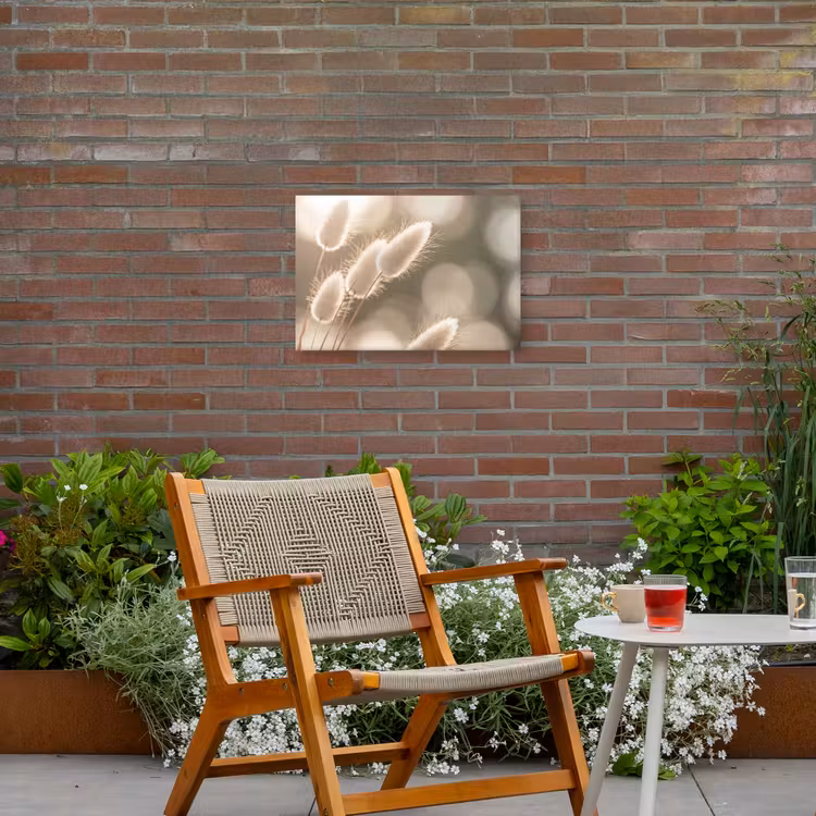 Buiten canvas - Hazestaartgras - Wit - Zonlicht — 2