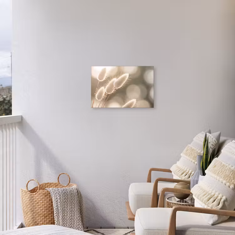 Buiten canvas - Hazestaartgras - Wit - Zonlicht — 4