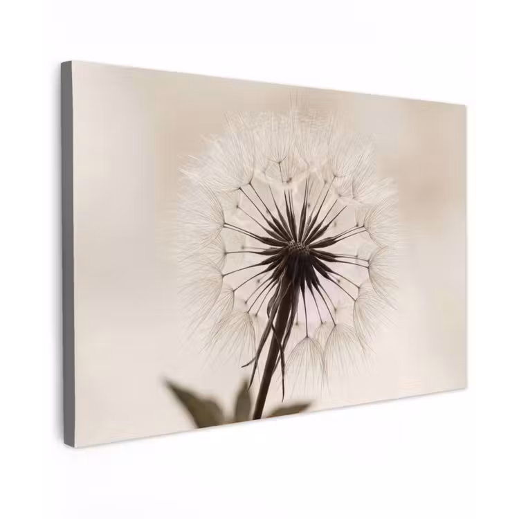 Buiten canvas - Paardenbloem - Minimalistisch - Wit — 1