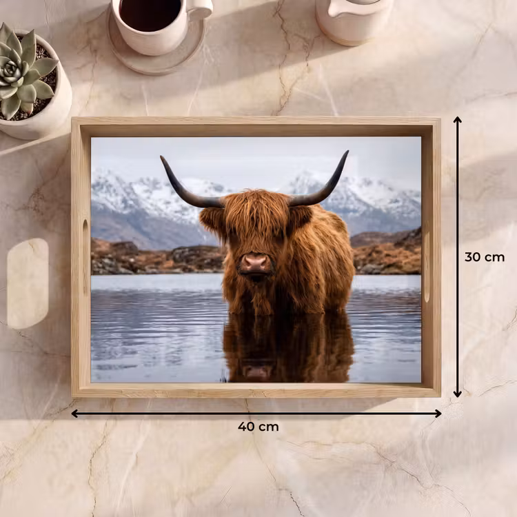 Dienblad - Schotse hooglander - Bruin - Water — 9
