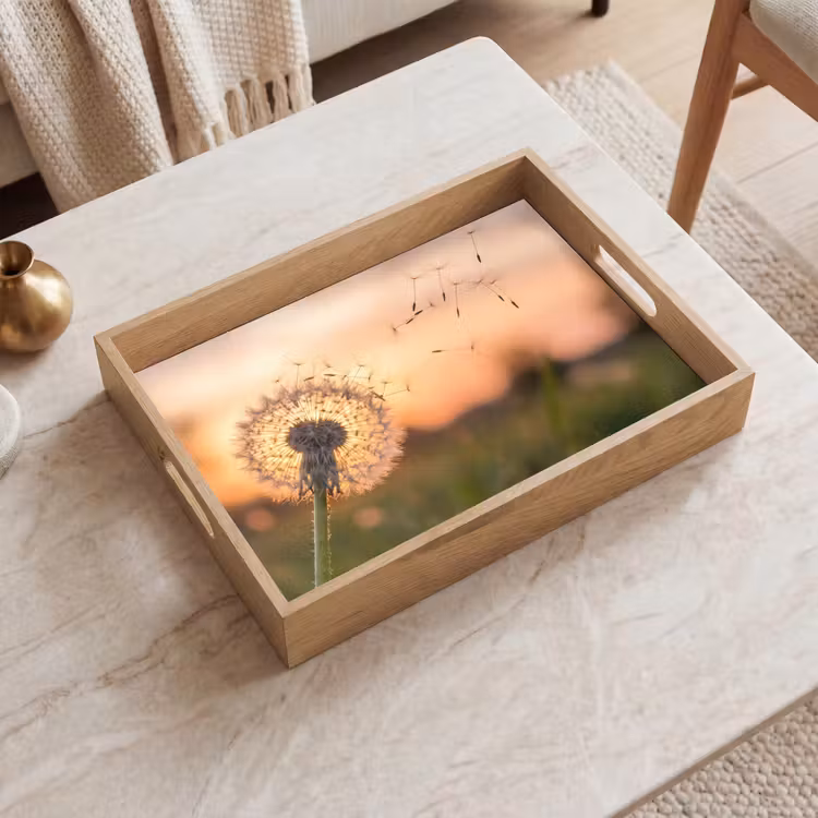 Dienblad - Paardenbloem - Zonsondergang - Veld — 2