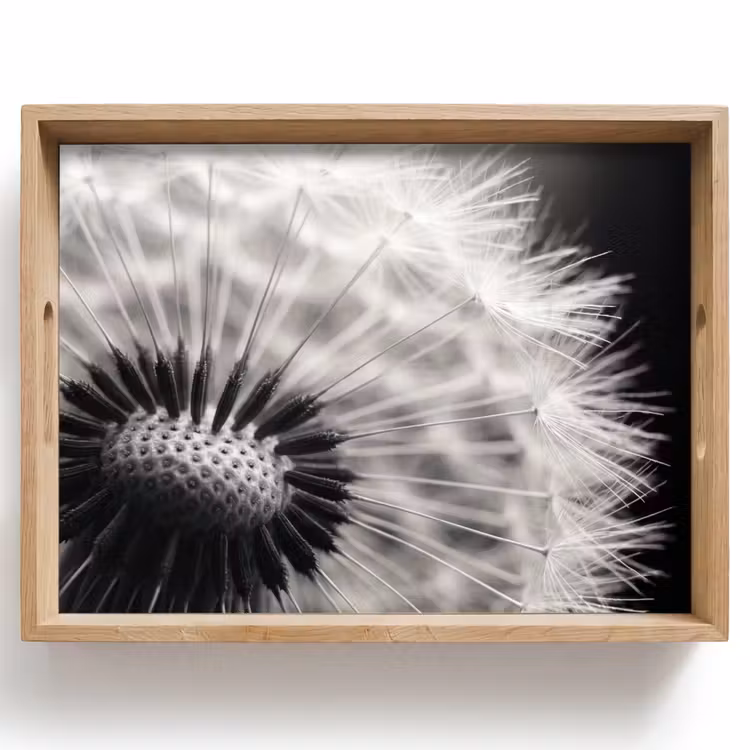 Dienblad - Paardenbloem - Zwart - Wit