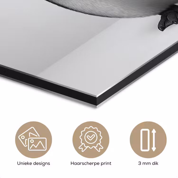 Aluminium schilderij - Pinguïn met Strikje en Toiletpapier — 7