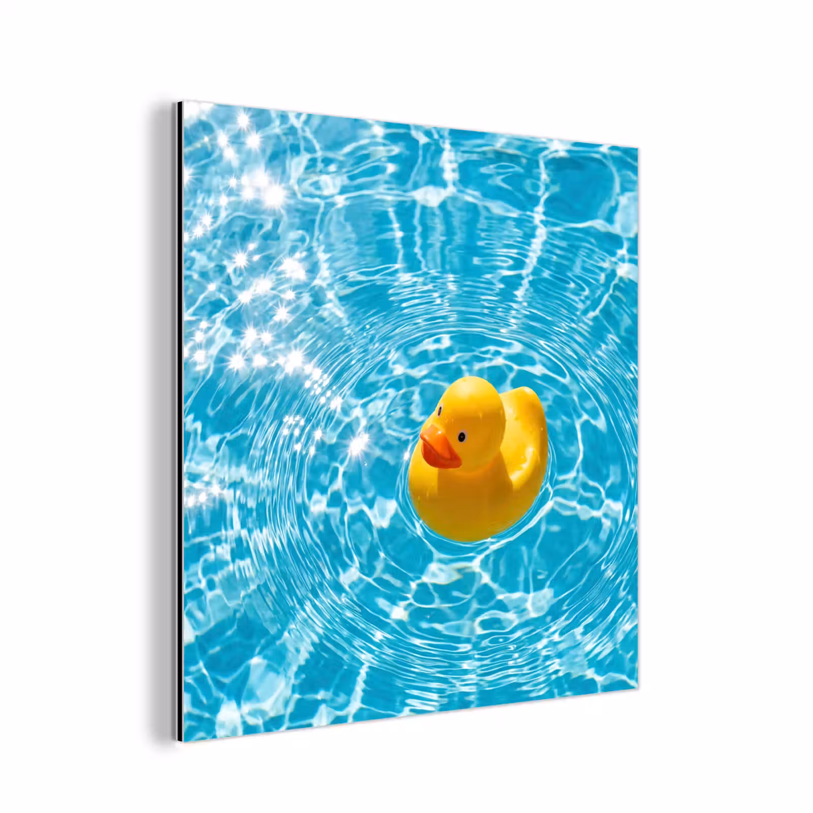 Aluminium schilderij - Badeend - Dobberen - Blauw — 1