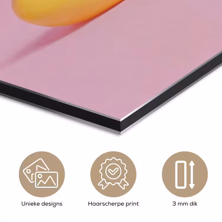 Aluminium schilderij - Eendjes - Vrolijk - Roze — 7
