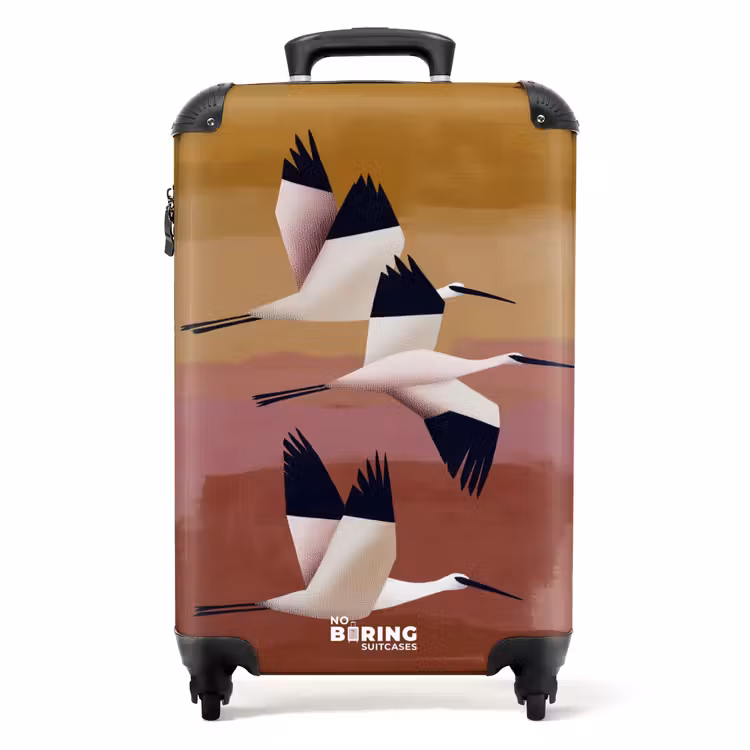 Koffer - Vogels - Snavel - Abstract — 1