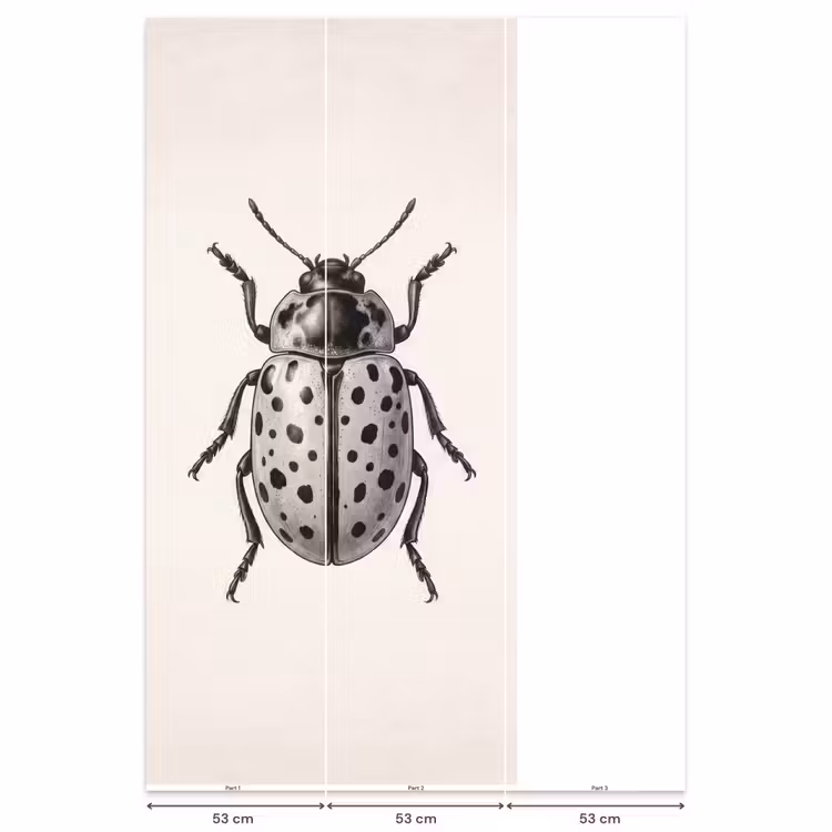Behang - Kever - Insect - Vintage — 6
