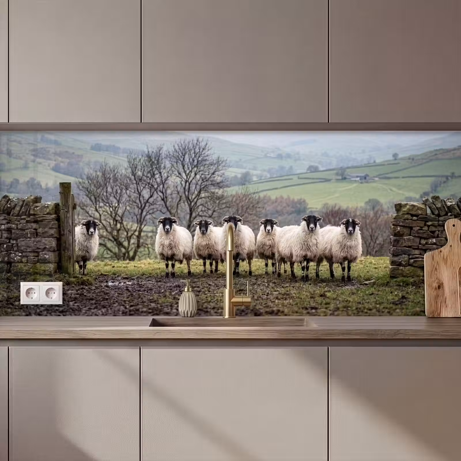 Keuken achterwand - Schapen - Rij - Weide - Dieren - Platteland — 1