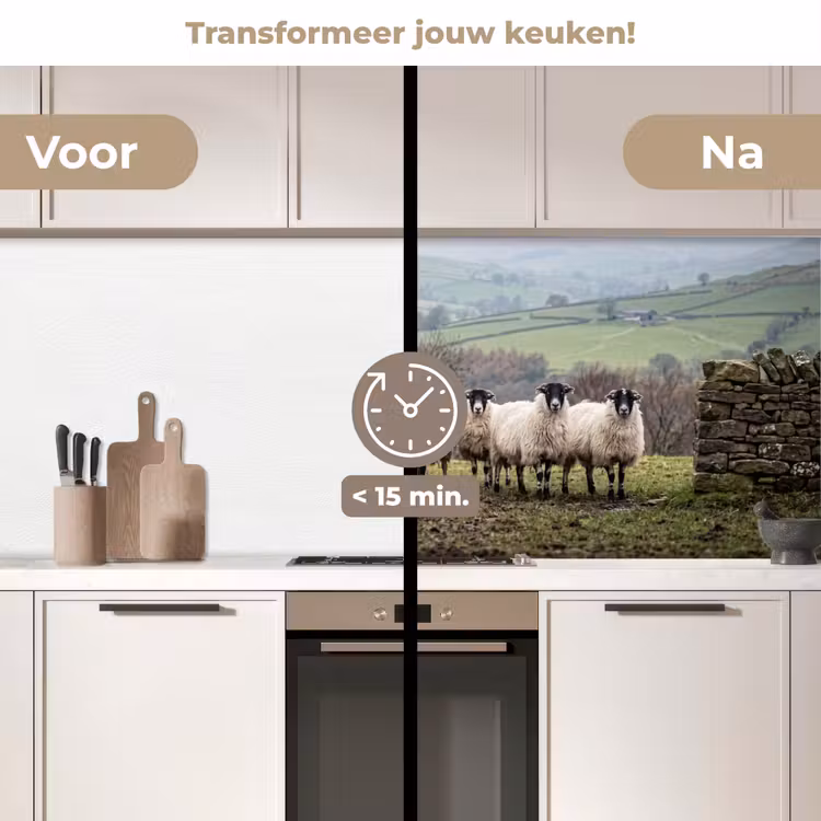 Keuken achterwand - Schapen - Rij - Weide - Dieren - Platteland — 2