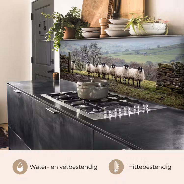 Keuken achterwand - Schapen - Rij - Weide - Dieren - Platteland — 3