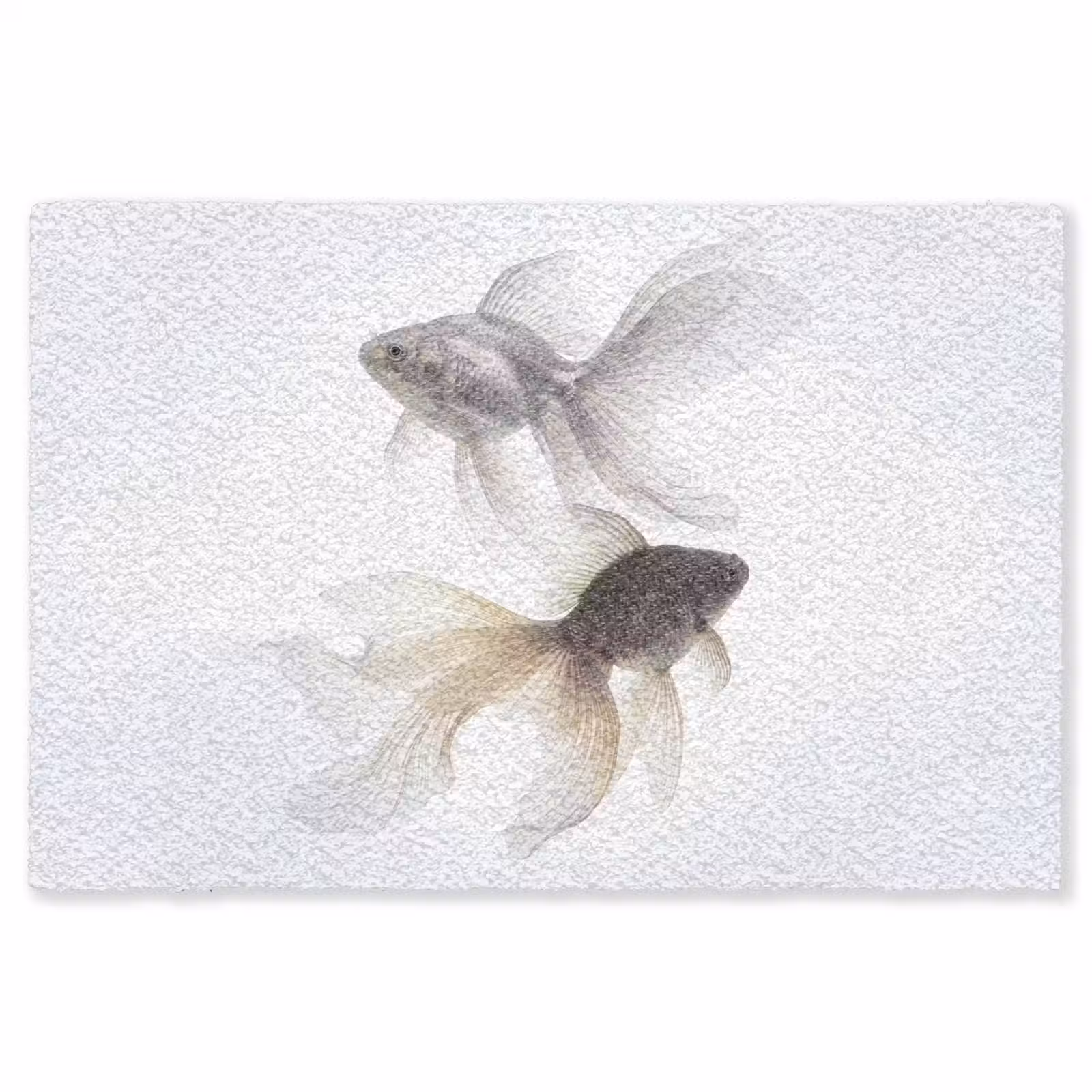 Vloerkleed - Goudvissen - Modern - Wit — 1