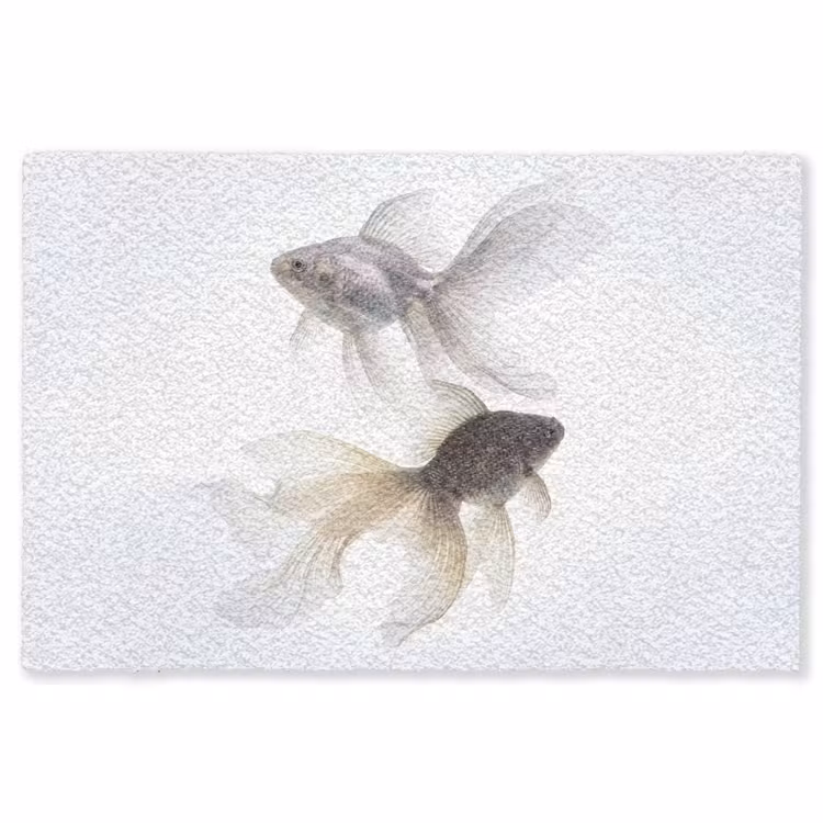 Vloerkleed - Goudvissen - Modern - Wit — 1
