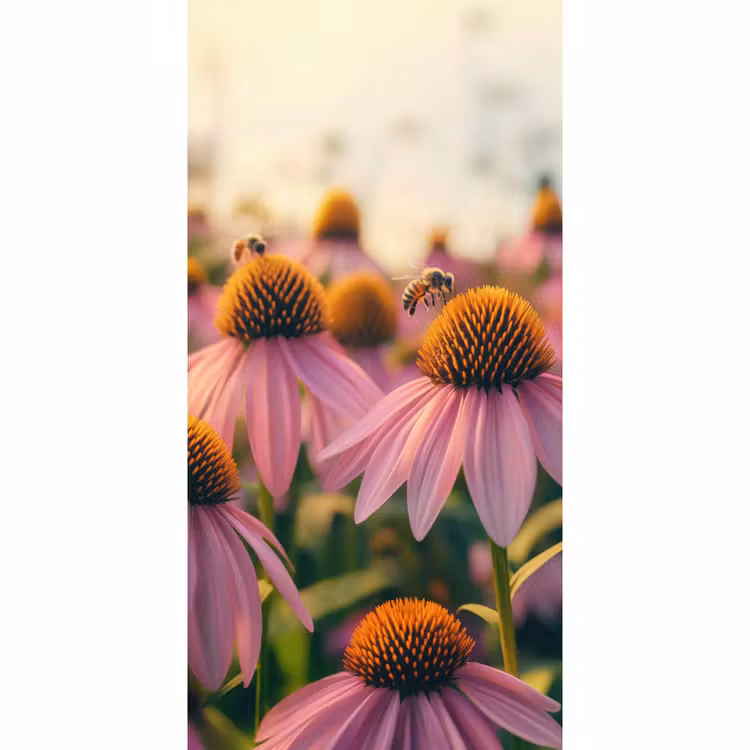 Behang - Bloemen - Paars - Bijen — 2