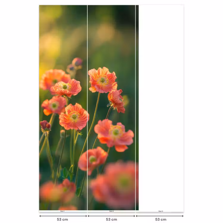 Behang - Bloemenveld - Zonnestralen - Oranje — 6