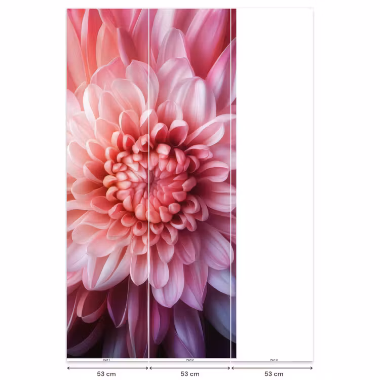 Behang - Dahlia - Bloem - Close up - Roze — 6