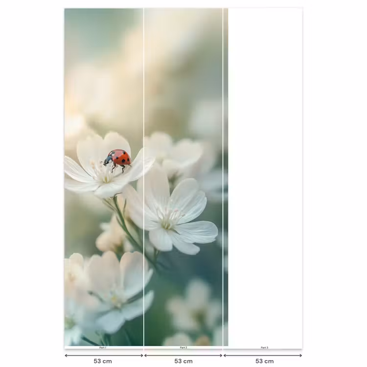 Behang - Lieveheersbeestje - Bloemen - Wit — 6