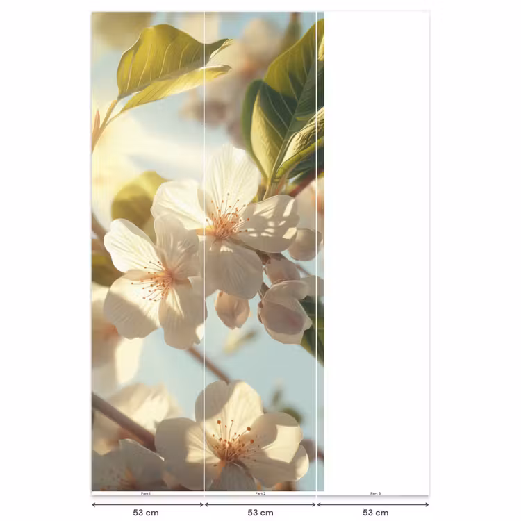 Behang - Bloesems - Wit - Zonnestralen - Bloemblaadjes — 6
